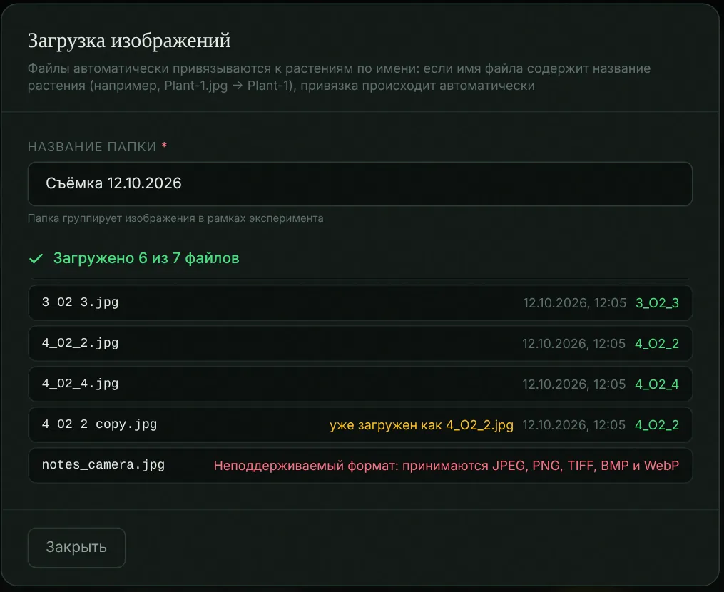 Окно загрузки: время съёмки и растение для каждого файла, отмеченный дубликат и отклонённый файл неподдерживаемого формата
